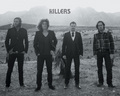 music - The Killers wallpaper