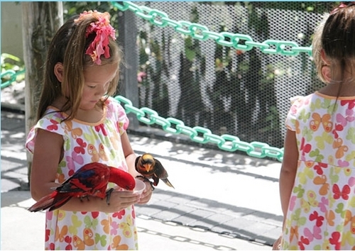  The little girls with some pretty birds!