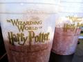 Wizarding World of Harry Potter - harry-potter photo