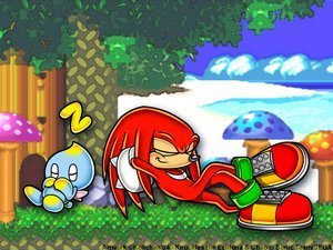  knux and chao