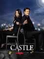 Castle 3 season - nathan-fillion photo