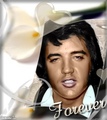 Elvis - elvis-presley fan art