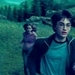 Icons <3 - harry-potter icon