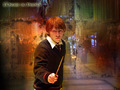 ronald-weasley - Ronald Weasley  wallpaper