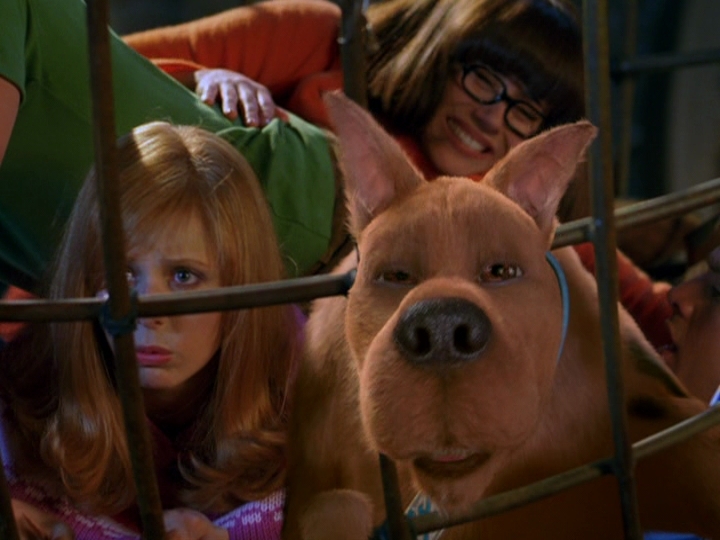 Sarah Michelle Gellar Image: Sarah in Scooby Doo 2: Monsters Unleashed.