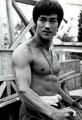 The Dragon - bruce-lee photo