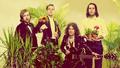 The Killers with some plants - music photo