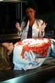 9.02-Sudden Death-The New Medical Examiner Dr. Mercier - csi-miami photo