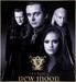 Volturi - twilight-series icon
