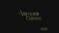 2.02 "Brave New World" HD - the-vampire-diaries-tv-show screencap