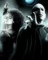Bella and Voldy - harry-potter photo