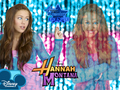 hannah-montana - Miley $tewart wallpapers as a part of 100 days of hannah by dj!!! wallpaper