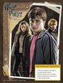 trio 2011 Deathly Hallows: Part I calendar cover - harry-potter photo