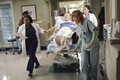  Episode 7.04 - Can't Fight Biology - Promotional Photos - greys-anatomy photo