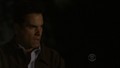ncis - 8x01 Spider and the Fly screencap