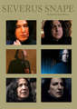 Alan Rickman=Severus Snape - harry-potter photo