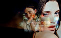Ashley Greene and Jackson Rathbone - twilight-series fan art