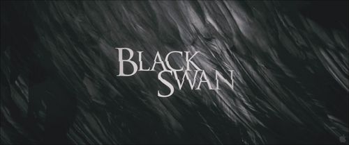  Black cisne