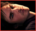 Damon - the-vampire-diaries photo
