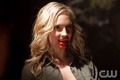 Kill or be killed - the-vampire-diaries-tv-show screencap