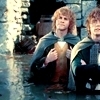  Merry and Pippin