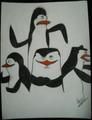 My First PoM Drawing - penguins-of-madagascar fan art