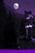 Night Wolf - wolves icon