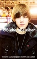 @BiebersBeleiber - justin-bieber photo