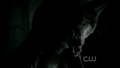 2x03 Bad Moon Rising - werewolf - the-vampire-diaries-tv-show screencap