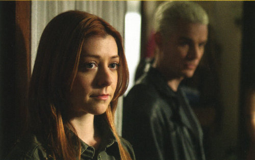  एंजल & Buffy Shows