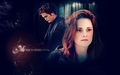 twilight-series - Bella and Edward wallpaper