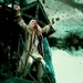 DH Trailer - harry-potter icon