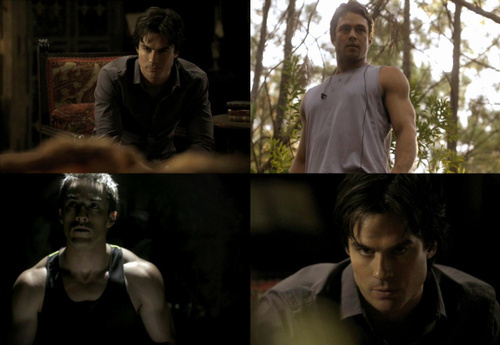 Damon & "werewolves"