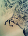 Firey Horse - drawing photo