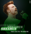 SHEAMUS - The Celtic Warrior - sheamus fan art