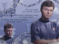 star-trek-the-original-series - Star Trek TOS McCoy and His Words wallpaper
