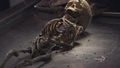 bones - The Mastodon In The Room screencap