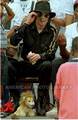 cool way of sitting on a chair + LION - michael-jackson photo