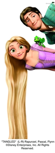  rapunzel - Rapunzel - L'intreccio della torre