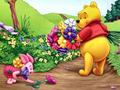 winnie-the-pooh - winnie the pooh wallpaper