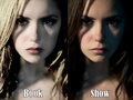 Books vs Show - the-vampire-diaries fan art