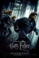 Deathly Hallows - Part 1: New Poster. - harry-potter photo
