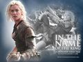 action-films - In the Name of the King: A Dungeon Siege Tale wallpaper