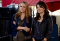 Life Unexpected - Episode 2.05 - Music Faced - Promotional Photos {OTH & LUX Crossover} : - life-unexpected photo