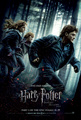 New Harry, Ron, & Hermione on the run Deathly Hallows: Part I poster - harry-potter photo