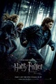 Pôster Harry, Rony e Hermione - harry-potter photo