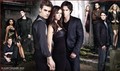 The Vampire Diaries Cast - stefan-and-elena photo