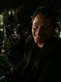 Tim Daly - Halloween episode - private-practice photo