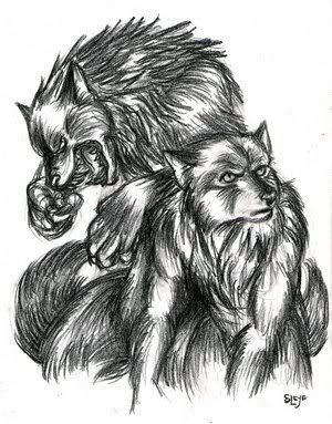 Wolves and Werewolves