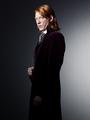 Bill Weasley in Deathly Hallows - harry-potter photo